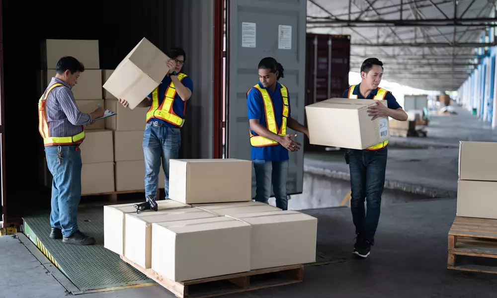 الباقة الاحترافية